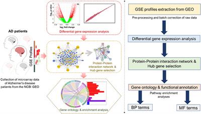 Temporal Cortex Microarray Analysis Revealed Impaired Ribosomal Biogenesis and Hyperactivity of the Glutamatergic System: An Early Signature of Asymptomatic Alzheimer's Disease